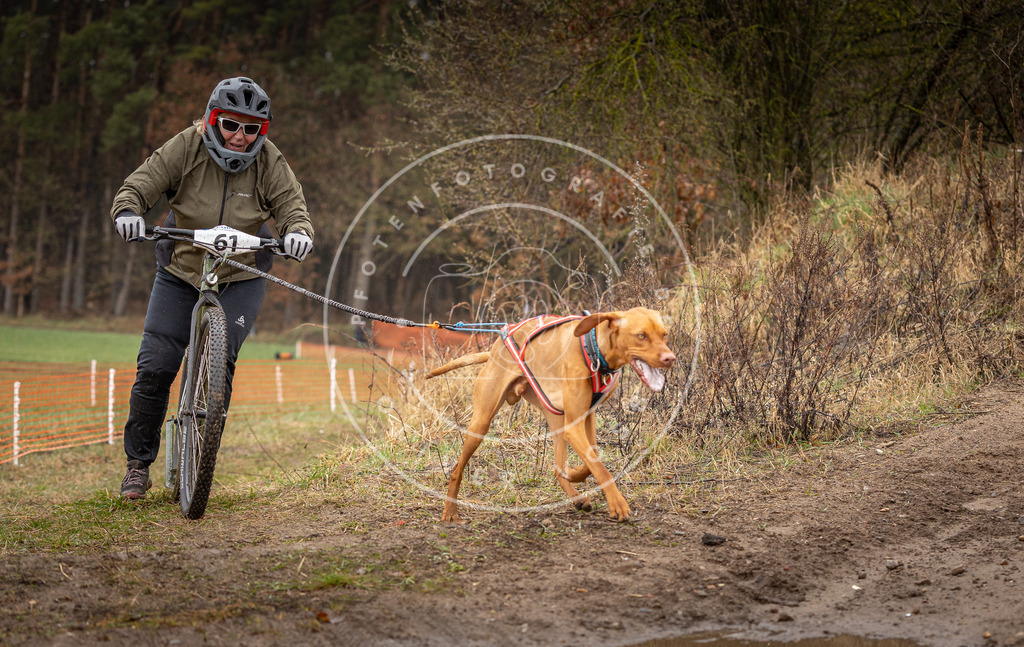 DV3A9516 | Hundefotografie, Tierfotograf, Pfotenfotografie, Fotoshooting Hund, Hunde Portrait, Hundesport, Hundeportraits, Heideshooting, Hunde, Sportfotograf, Hundefotograf, Turnierhundsport, THS,  - Realisiert mit Pictrs.com