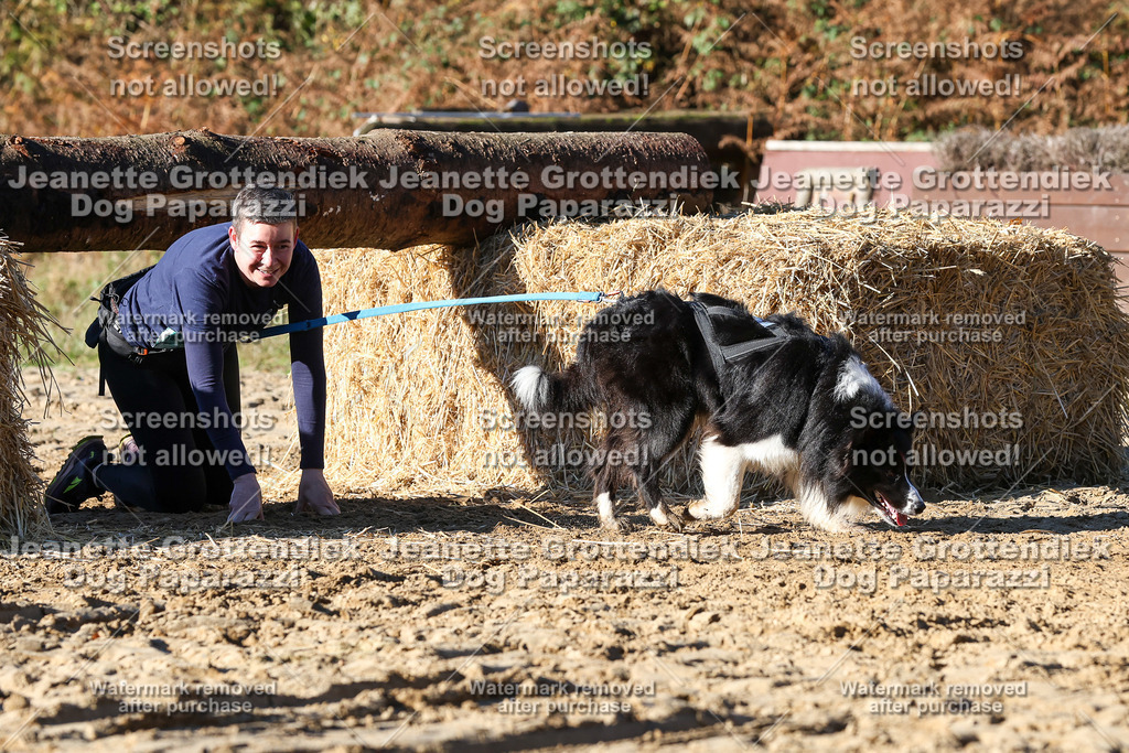 Dog Paparazzi - Strongdog 10-25-1858 | Dog Paparazzi Jeanette Grottendiek Fotografie & Videografie - Realisiert mit Pictrs.com