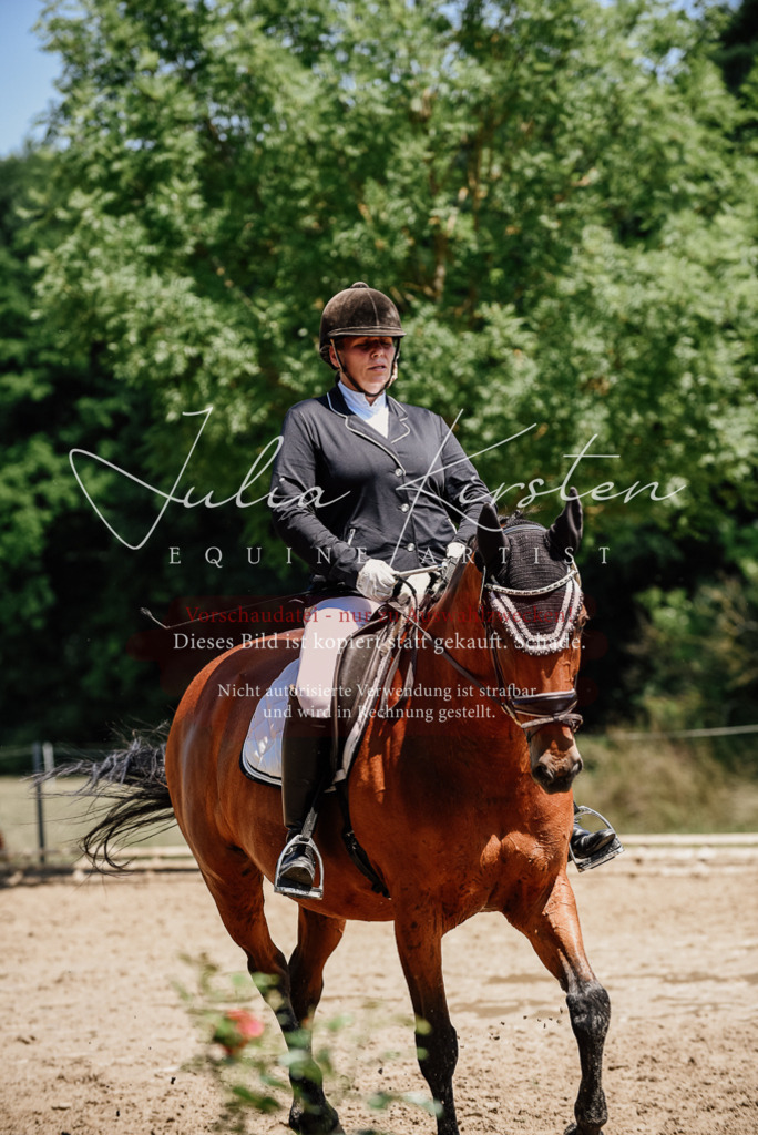 DSC_2002 | Pferde- und Turnierfotografie in Westsachsen. Pferdeportraits, Auftragszeichnungen und intuitive Kunst.