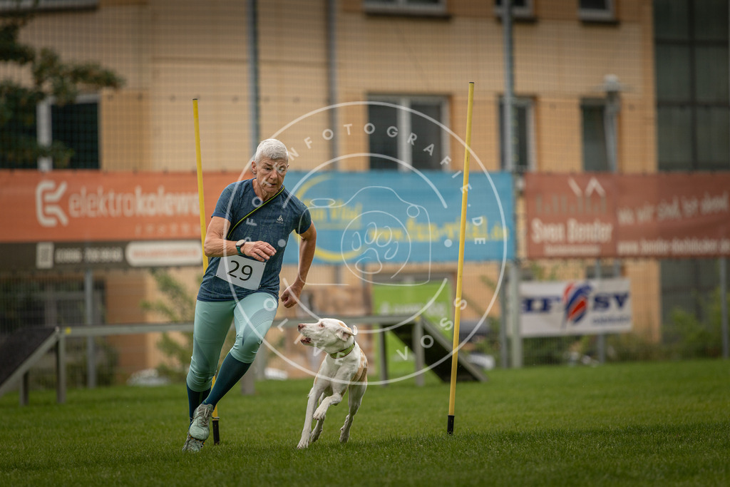 Pfotenfotografie_DV3A8269 | Hundefotografie, Tierfotograf, Pfotenfotografie, Fotoshooting Hund, Hunde Portrait, Hundesport, Hundeportraits, Heideshooting, Hunde, Sportfotograf, Hundefotograf, Turnierhundsport, THS,  - Realisiert mit Pictrs.com
