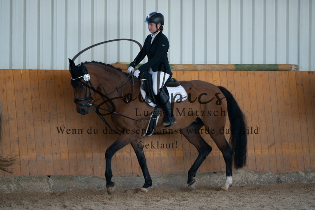 A7V02096 | Turnier/Reitfotograf
