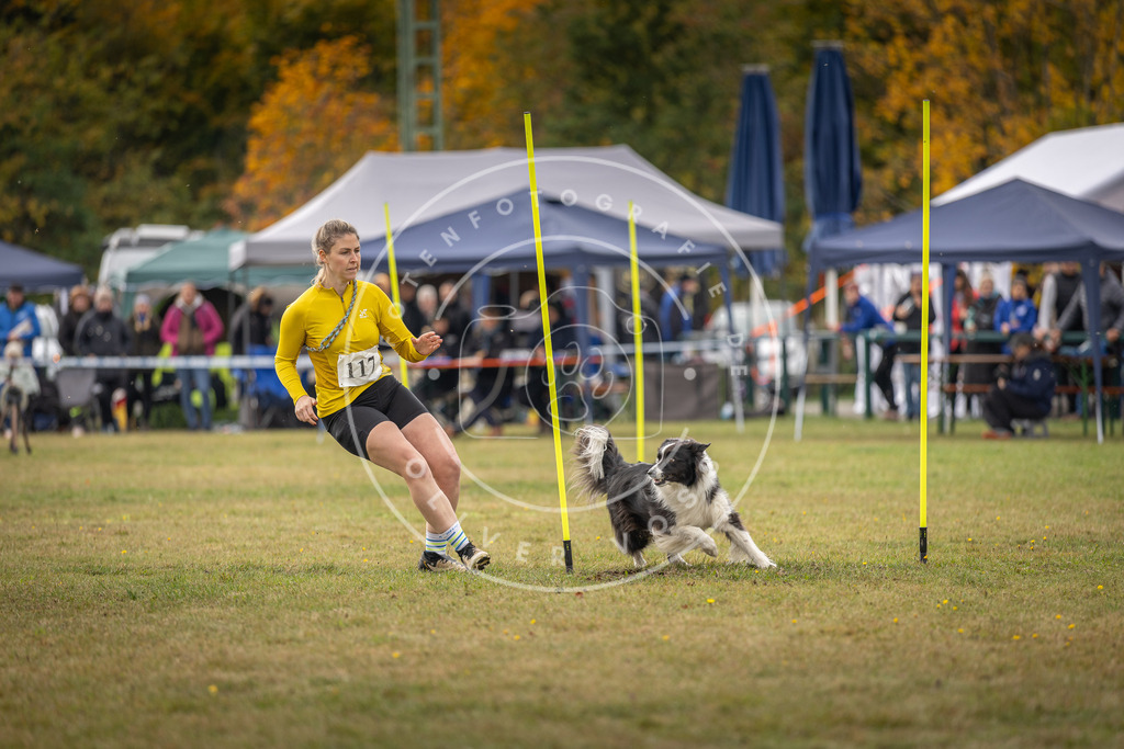Pfotenfotografie_DV3A6949 | Hundefotografie, Tierfotograf, Pfotenfotografie, Fotoshooting Hund, Hunde Portrait, Hundesport, Hundeportraits, Heideshooting, Hunde, Sportfotograf, Hundefotograf, Turnierhundsport, THS,  - Realisiert mit Pictrs.com