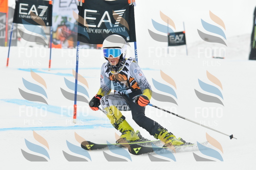 DSC_7746 | holidayphoto