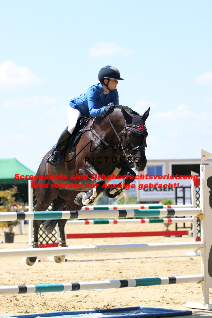 IMG_2499 | lmwpictures - Realisiert mit Pictrs.com