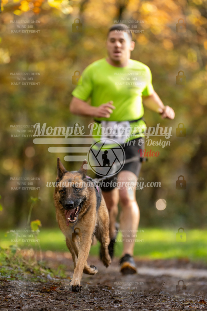 MompixPhotography_Bischwiller23_Canicross-114 | PayLife