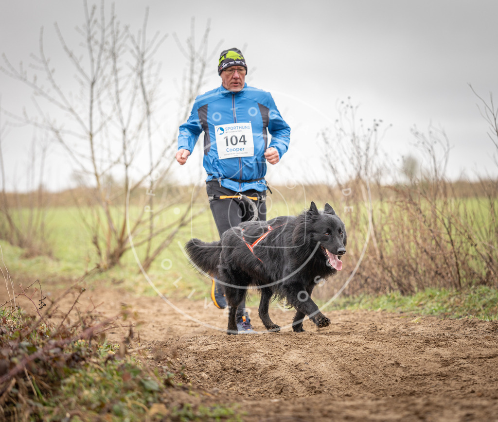 DV3A0191 | Hundefotografie, Tierfotograf, Pfotenfotografie, Fotoshooting Hund, Hunde Portrait, Hundesport, Hundeportraits, Heideshooting, Hunde, Sportfotograf, Hundefotograf, Turnierhundsport, THS,  - Realisiert mit Pictrs.com