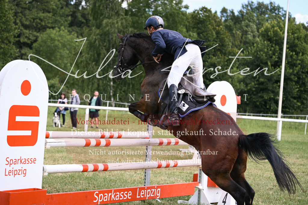 DSC_0634 | Pferde- und Turnierfotografie in Westsachsen. Pferdeportraits, Auftragszeichnungen und intuitive Kunst.