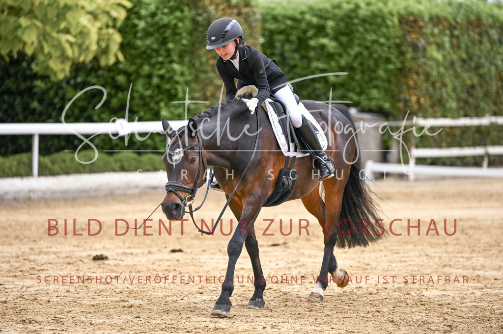 Schugtsche-Aluta25-42.EDressur -375 | Schugtsche Fotografie - Realisiert mit Pictrs.com