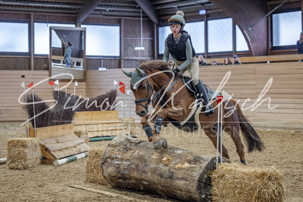 20260221-_3LI9672 | Tierfotografie Pferde, Hunde, Katzen, Haustiere.
Turnierfotografie Reitturniere, Reiten, Springreiten, Dressur in Hanau, dem Main-Kinzig-Kreis und dem Rhein-Main- Gebiet um Frankfurt