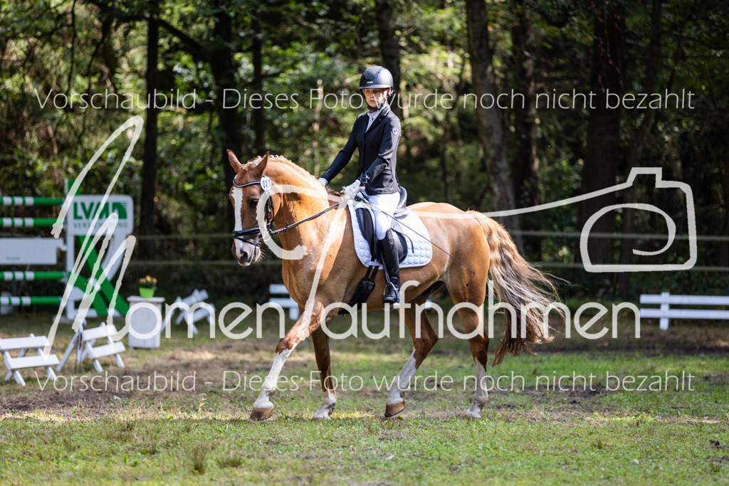 HB-Dressur-WB-111 | MomenTaufnahmen Pferdesportfotos