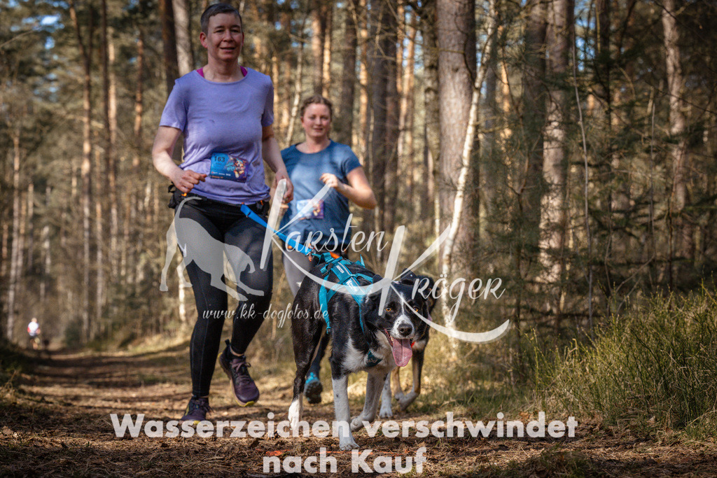 1110_ZZ90434 | kk-dogfotos