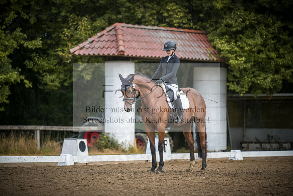 DOS_1544 | Entdecke hochwertige Reitturnierfotos von Foto Oger. Professionell, emotional und authentisch – jetzt Lieblingsmomente im Shop bestellen.Deutschlandweite Turnierfotografie. - Realisiert mit Pictrs.com