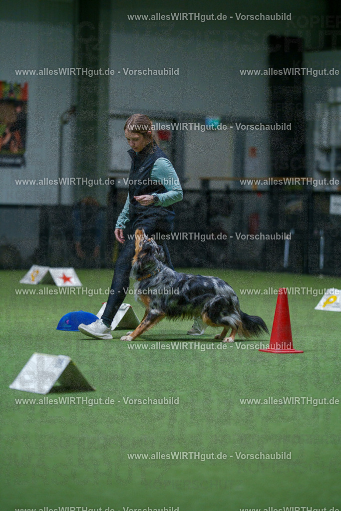 7R503109 | Professionelle Tierfotografie in Mönchengladbach von Daniel Wirth (allesWIRTHgut). Liebevolle & natürliche Bilder von Hunden & Katzen für unvergessliche Erinnerungen.