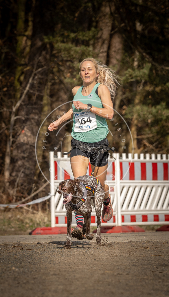 DV3A5591 | Hundefotografie, Tierfotograf, Pfotenfotografie, Fotoshooting Hund, Hunde Portrait, Hundesport, Hundeportraits, Heideshooting, Hunde, Sportfotograf, Hundefotograf, Turnierhundsport, THS,  - Realisiert mit Pictrs.com