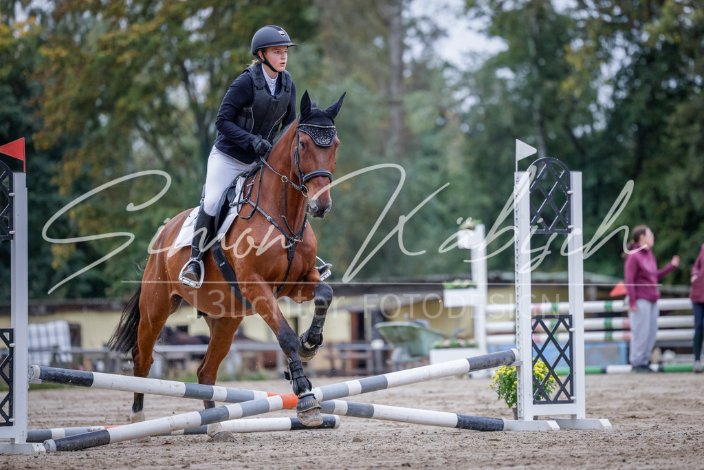20251012-_3LI2969 | Tierfotografie Pferde, Hunde, Katzen, Haustiere.
Turnierfotografie Reitturniere, Reiten, Springreiten, Dressur in Hanau, dem Main-Kinzig-Kreis und dem Rhein-Main- Gebiet um Frankfurt