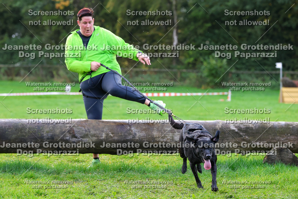 Dog Paparazzi -  SD1026-2240 | Dog Paparazzi Jeanette Grottendiek Fotografie & Videografie - Realisiert mit Pictrs.com