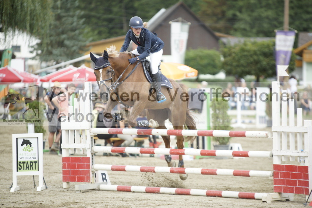 _DSC4459 | equestrian-live-com
