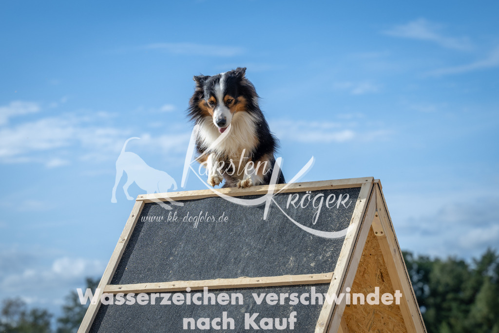 1430_ZZ91425 | kk-dogfotos