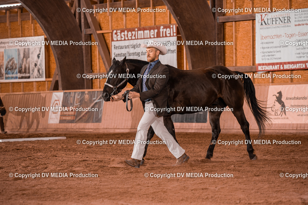 NE200070 | dv-media-shop - Realisiert mit Pictrs.com