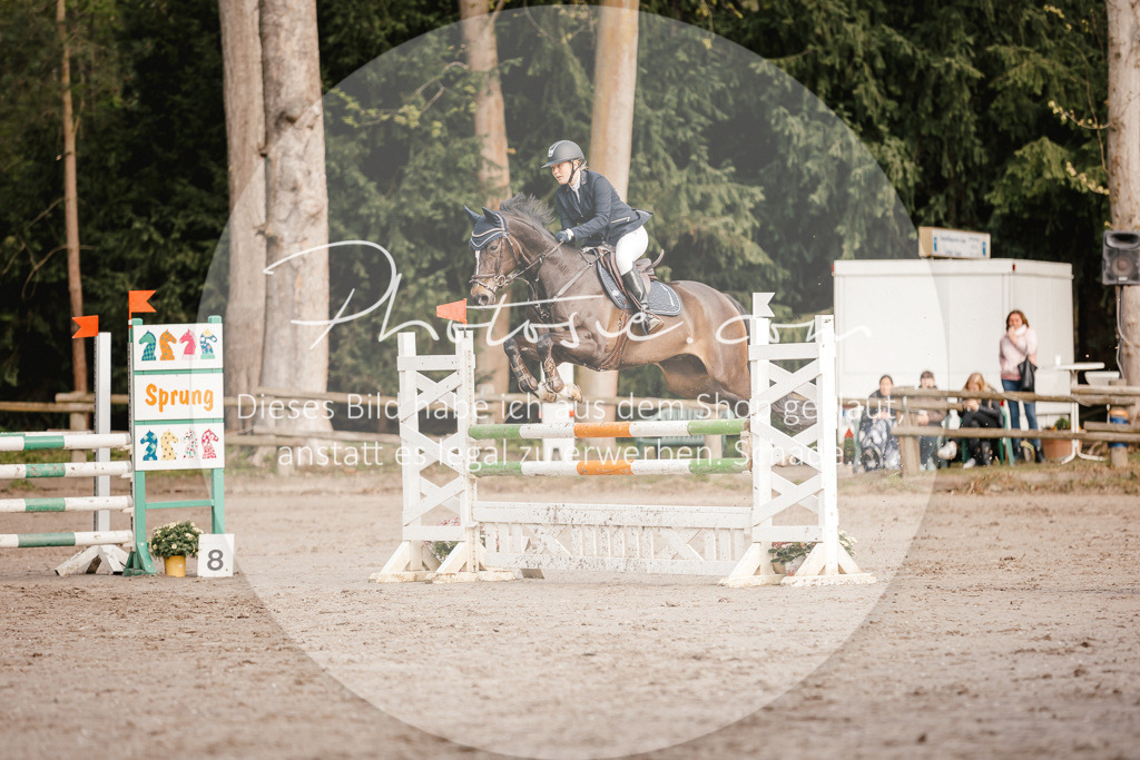 3I6A3349 | Stimmungsvolle Portraits und Reitsportfotografie im Ruhrgebiet und im Münsterland.

Pferdefotografie, Hundefotografie, Tierfotografie, Reportagen, Portraits von Tier und Mensch, Turnierfotografie in Bochum, Recklinghausen, Marl, Haltern am See, Dülmen.. - Realisiert mit Pictrs.com