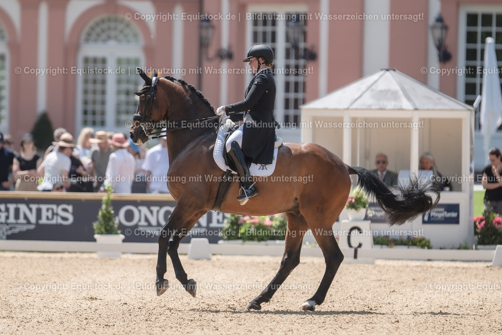 20230527_01_GP-Kür-Tour_0148 | equistock