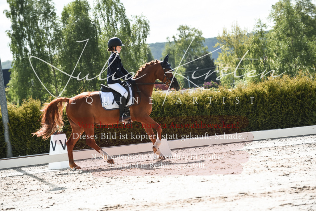 20230518_JK-Röhrsdorf-09-1513 | Pferde- und Turnierfotografie in Westsachsen. Pferdeportraits, Auftragszeichnungen und intuitive Kunst.