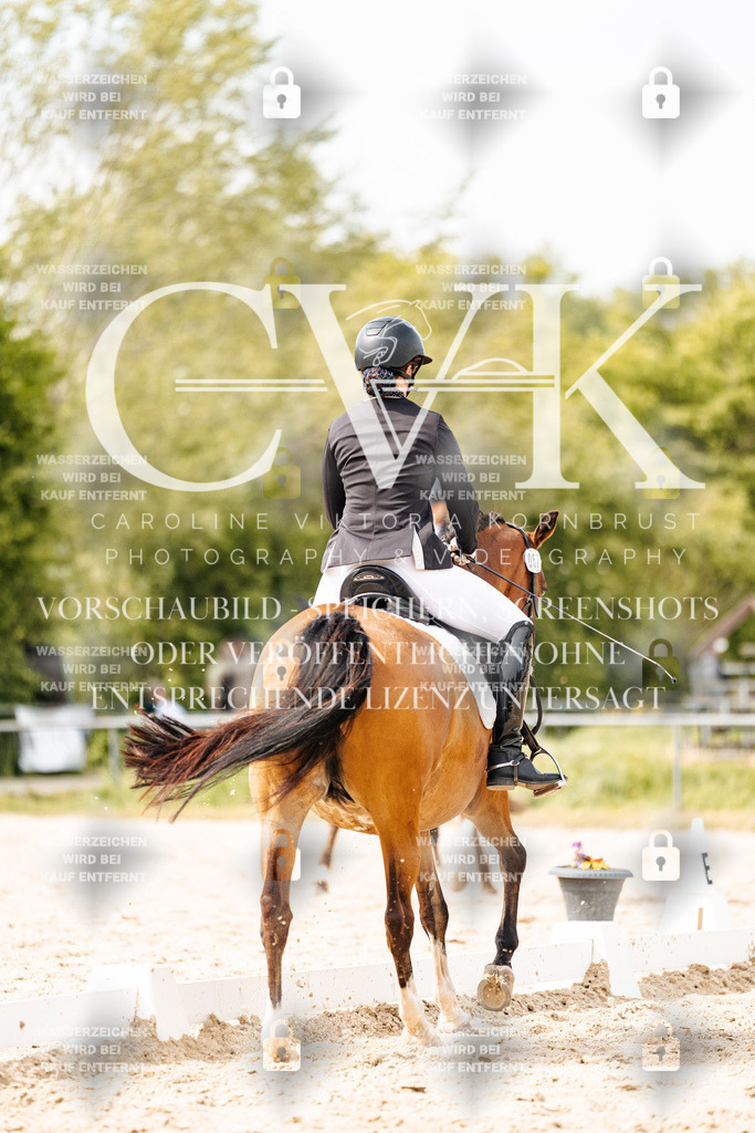 CK901252 | Turnierfotografie Pferdefotografie Trier Rheinland-Pfalz Pferdesport Reitsport Tierfotografie Sportfotografie Pferdevideo Pferdevideografie Equestrianvideography equestrianphotography  - Realisiert mit Pictrs.com