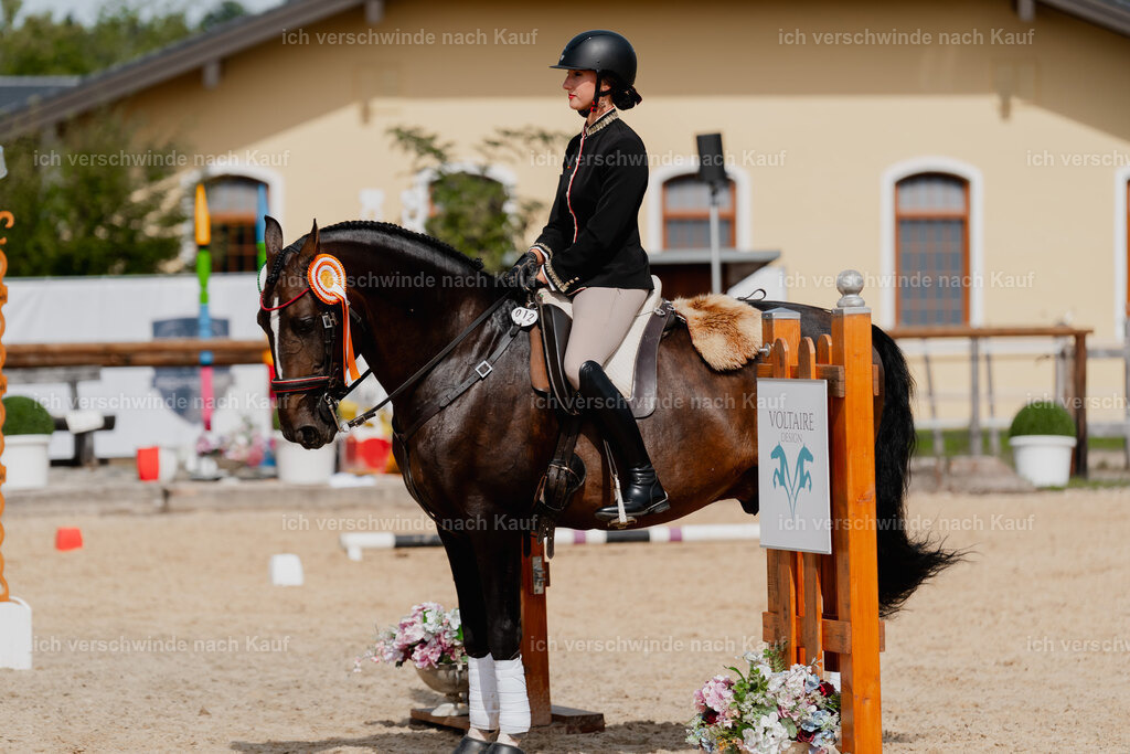 Virginie12FHC2025-3115 | working equitationturnier fotograf videograf stoibphotography marixx film working equitation deutschland reitsport turnierfotografie eventfotografie equestrian events