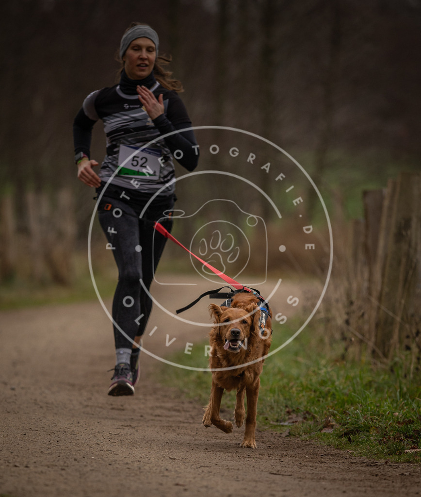 Pfotenfotografie_DV3A2910 | Hundefotografie, Tierfotograf, Pfotenfotografie, Fotoshooting Hund, Hunde Portrait, Hundesport, Hundeportraits, Heideshooting, Hunde, Sportfotograf, Hundefotograf, Turnierhundsport, THS,  - Realisiert mit Pictrs.com