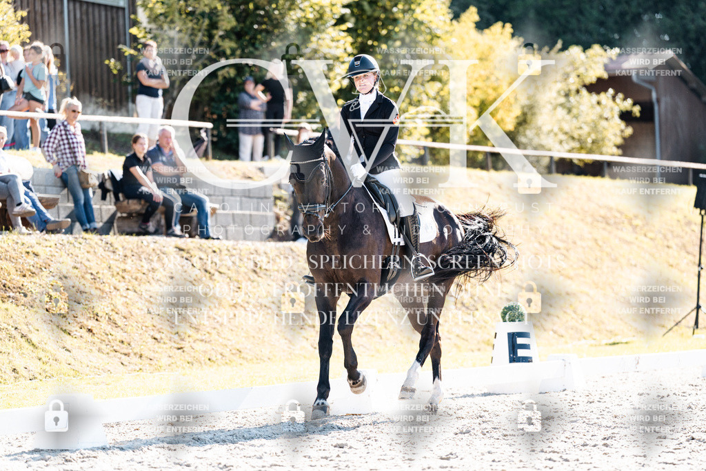 CK905871 | Turnierfotografie Pferdefotografie Trier Rheinland-Pfalz Pferdesport Reitsport Tierfotografie Sportfotografie Pferdevideo Pferdevideografie Equestrianvideography equestrianphotography  - Realisiert mit Pictrs.com