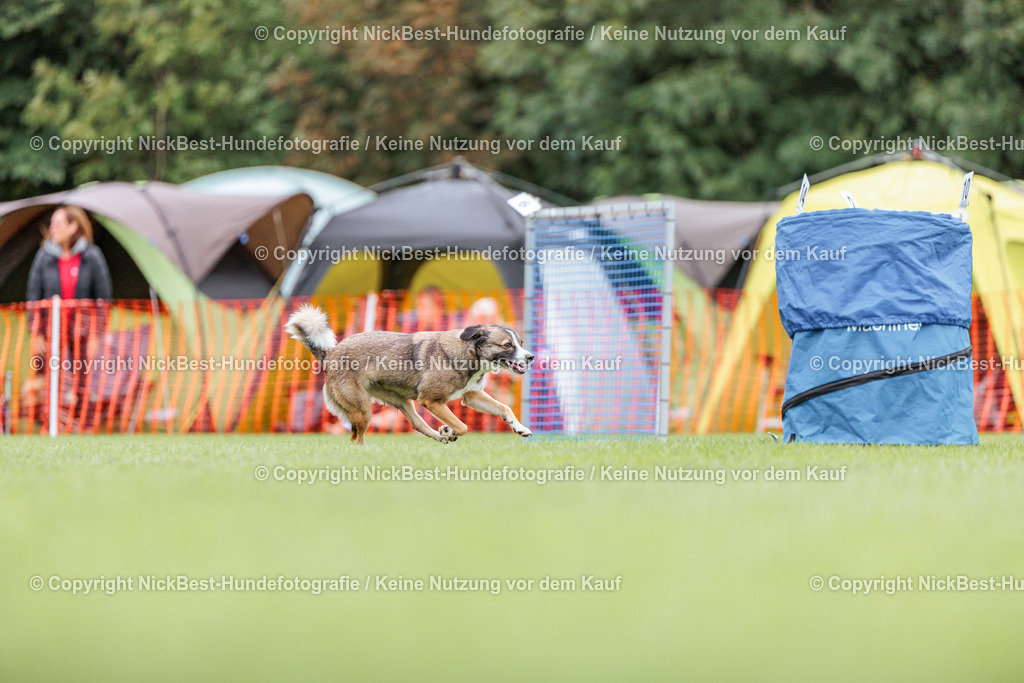 BSP Hoopers-H1 Tag2-2026-Nickbest-Hundefotografie-TuS Komet Arsten e.V.-2568 | Dein Hund! Dein Moment! Deine Erinnerungen! Hundefotografie in Bremen Blumenthal. Ich fange die besonderen Momente deines Vierbeiners ein – ob Indoor mit Blitzanlage oder in der freien Natur. Sicher dir dein Moment und dein Termin für eure Erinnerungen.