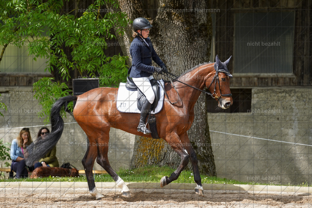 20240519-FAH05262 | Turnierbilder Niederseeon 2024, Vielseitigkeitsdressur, Reitsportbilder aus dem Landkreit Ebersberg, Gut Steinsee, RC Steinsee, Fotoagentur Herrmann