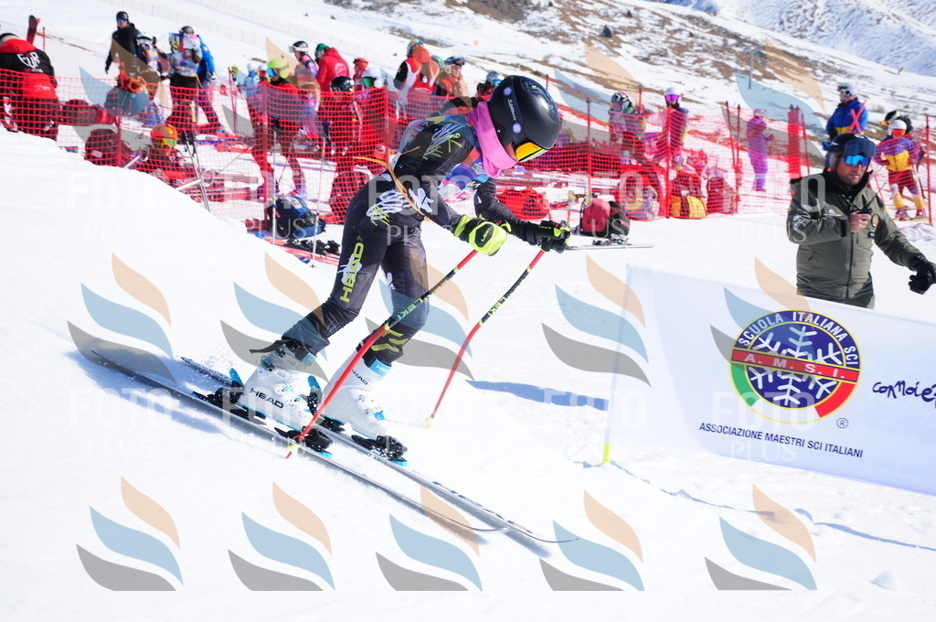 DSC_3865 | holidayphoto