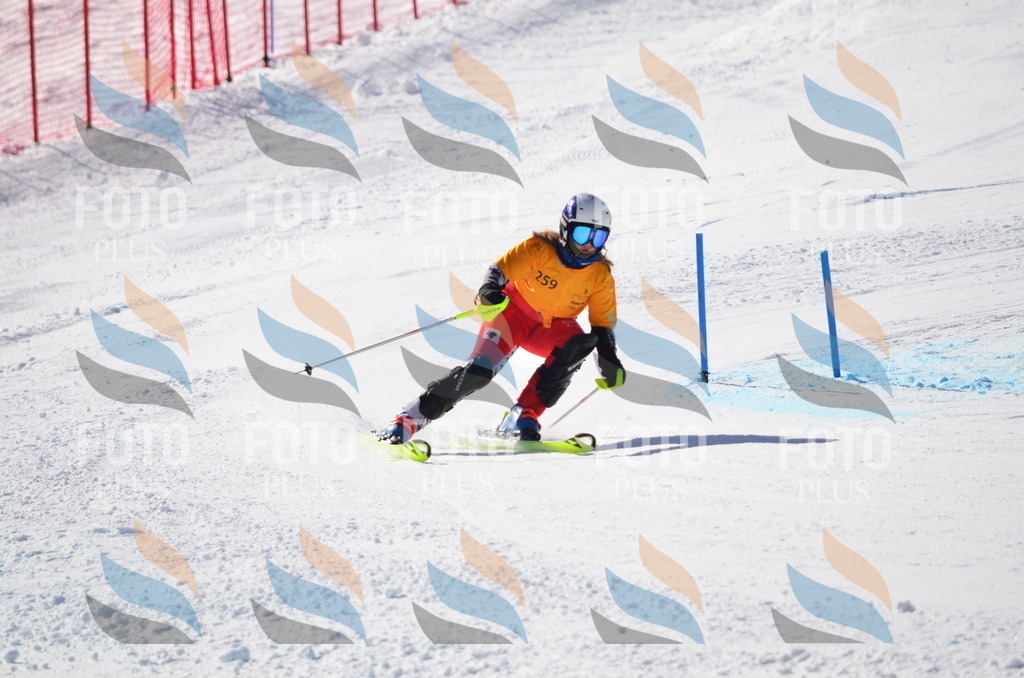 C8498 | holidayphoto