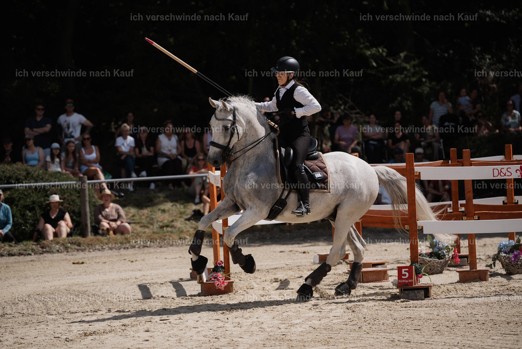 WM_SP_143_Stoibphotography_SO19657 | working equitationturnier fotograf videograf stoibphotography marixx film working equitation deutschland reitsport turnierfotografie eventfotografie equestrian events