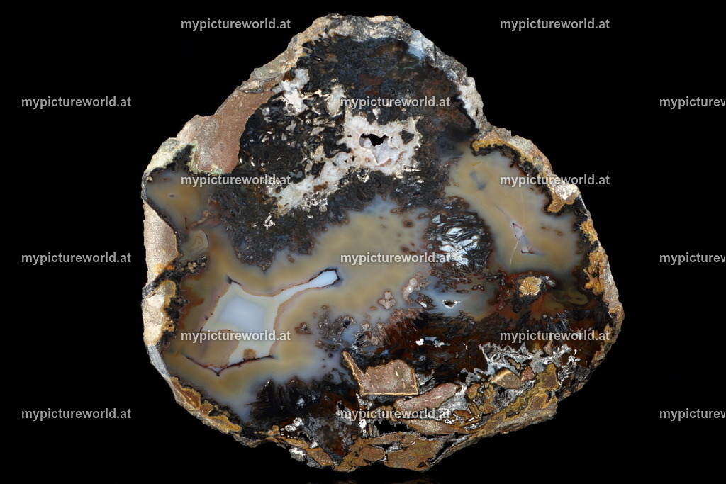 Achat-006 | Das Bilderarchiv über Tiere, Planzen und Landschaften. In der Bilddatenbank finden Sie ein große Auswahl an hochwertigen Bilder für Ihre Werbung - Realisiert mit Pictrs.com