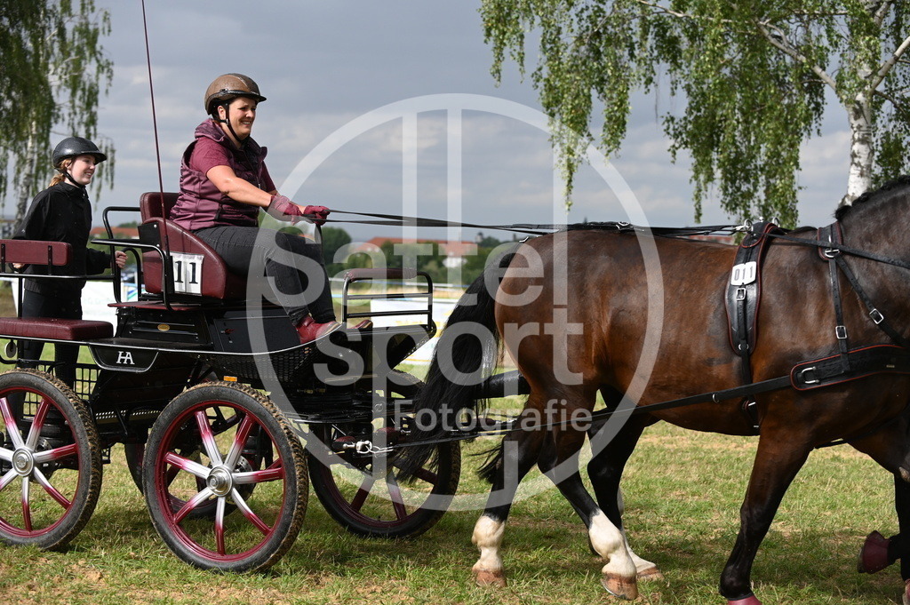 DSC_8821 | sattelsport - Realisiert mit Pictrs.com