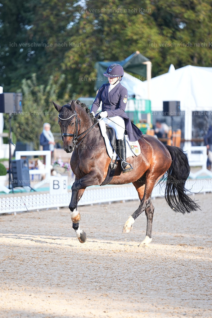 09_1-056-DRESSUR  S_  -Marixx-5640 | working equitationturnier fotograf videograf stoibphotography marixx film working equitation deutschland reitsport turnierfotografie eventfotografie equestrian events