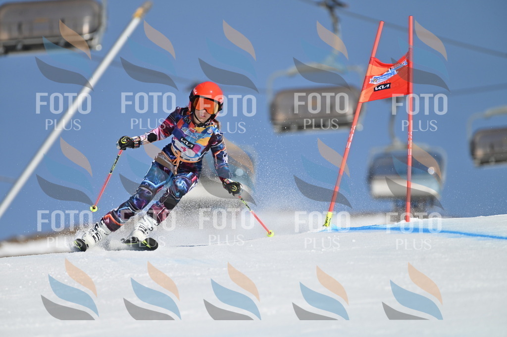 BGV_7626 | holidayphoto