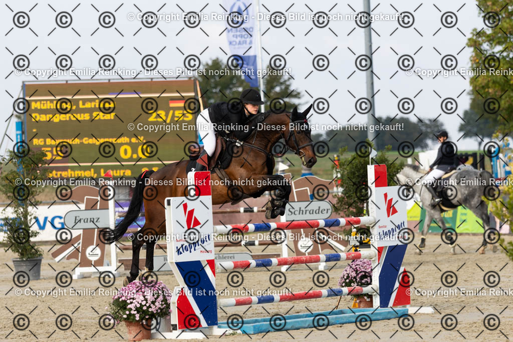 CL5A5213 | Emilia Reinking Fotografie - Realisiert mit Pictrs.com