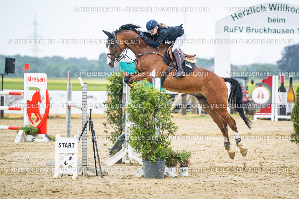 DSC08711 | Pferdegrafie