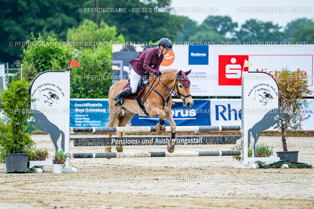 DSC01118 | Pferdegrafie