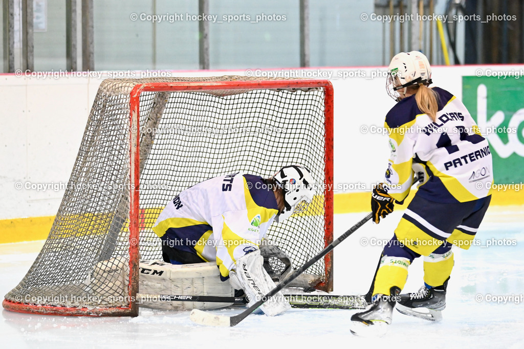 BST_6639 | hockey sports photos, Pressefotos, Sportfotos, hockey247, win 2day icehockeyleague, Handball Austria, Floorball Austria, ÖVV, Kärntner Eishockeyverband, KEHV, KFV, Kärntner Fussballverband, Österreichischer Volleyballverband, Alps Hockey League, ÖFB, 
