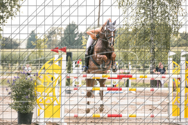 _W6A1625 | ronjaprokoschfotografie - Realisiert mit Pictrs.com