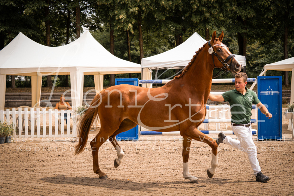 4.Fr00155 | Leoni Ertmer Photography - Realisiert mit Pictrs.com