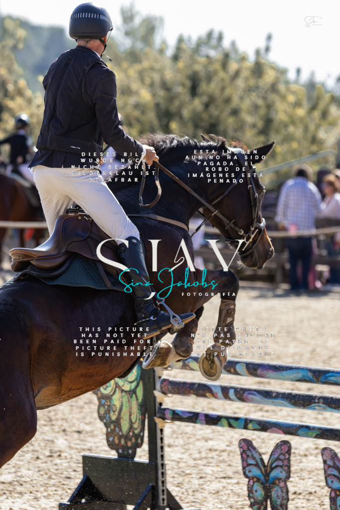 IMG_6365 | s-jay-photography - Realisiert mit Pictrs.com