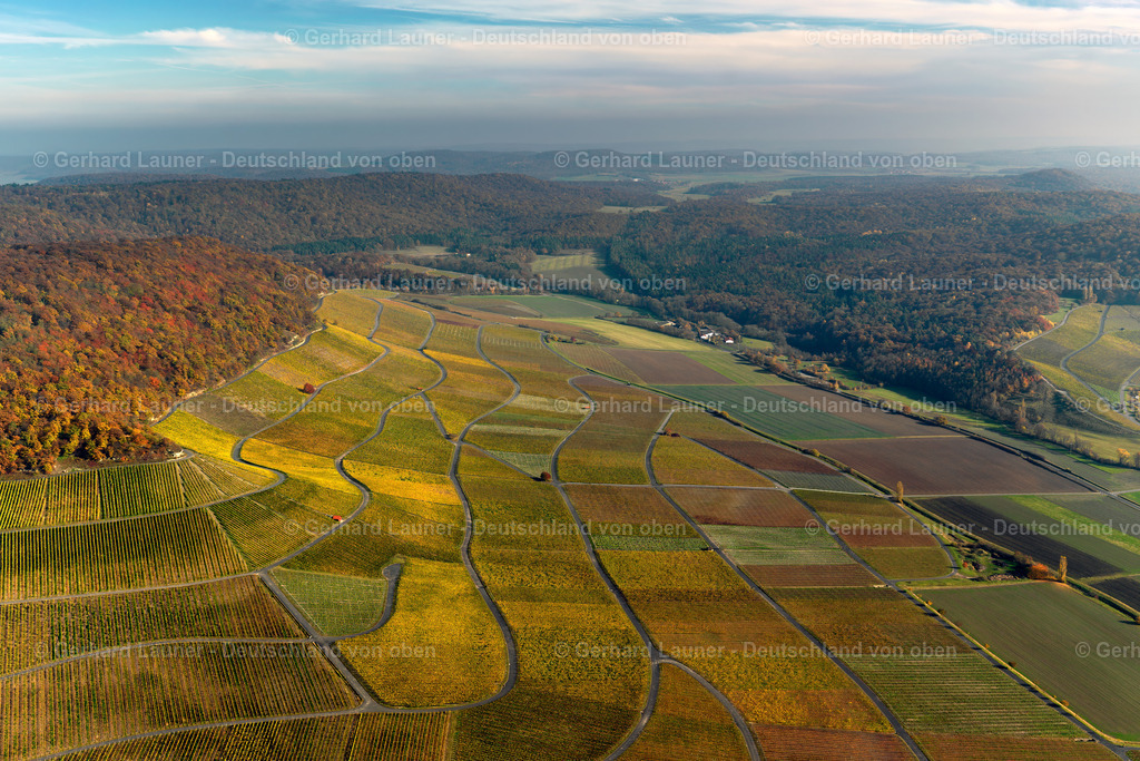3198562 | Weinbergslandschaft an der Mainschleife bei Escherndorf und Nordheim