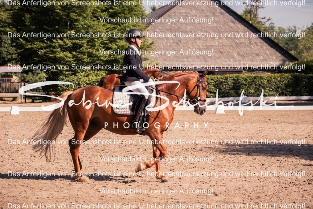 2025_05_31_DSCF2986 | People- und Tierfotografie, Imageaufnahmen, Veranstaltungsfotografie und Wandbilder aus der Natur ★ Made in Germany ✔️ Druck + Downloads ✔️ Naturfotografie in Top Qualität ★ schneller Versand, weltweite Lieferung! - Realisiert mit Pictrs.com