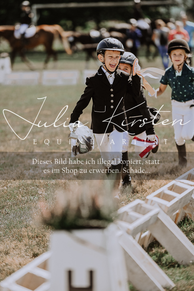 DSC_8003 | Pferde- und Turnierfotografie in Westsachsen. Pferdeportraits, Auftragszeichnungen und intuitive Kunst.