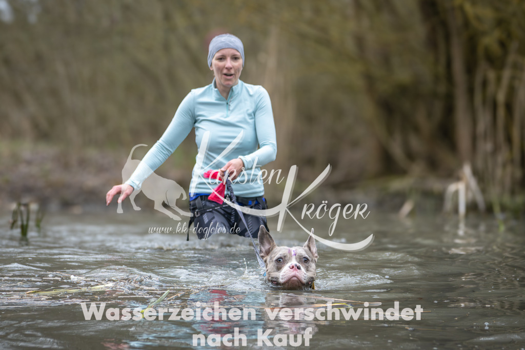 1001_ZZ95139 | kk-dogfotos